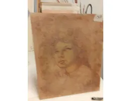 Aste giudiziarie mobiliari online - 1.0