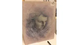 Aste giudiziarie mobiliari online - 1.0