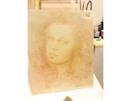 Aste giudiziarie mobiliari online - 1.0