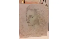 Aste giudiziarie mobiliari online - 1.0