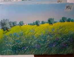 Aste giudiziarie mobiliari online - 7.0