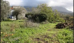 Aste giudiziarie immobiliari online - 9.0